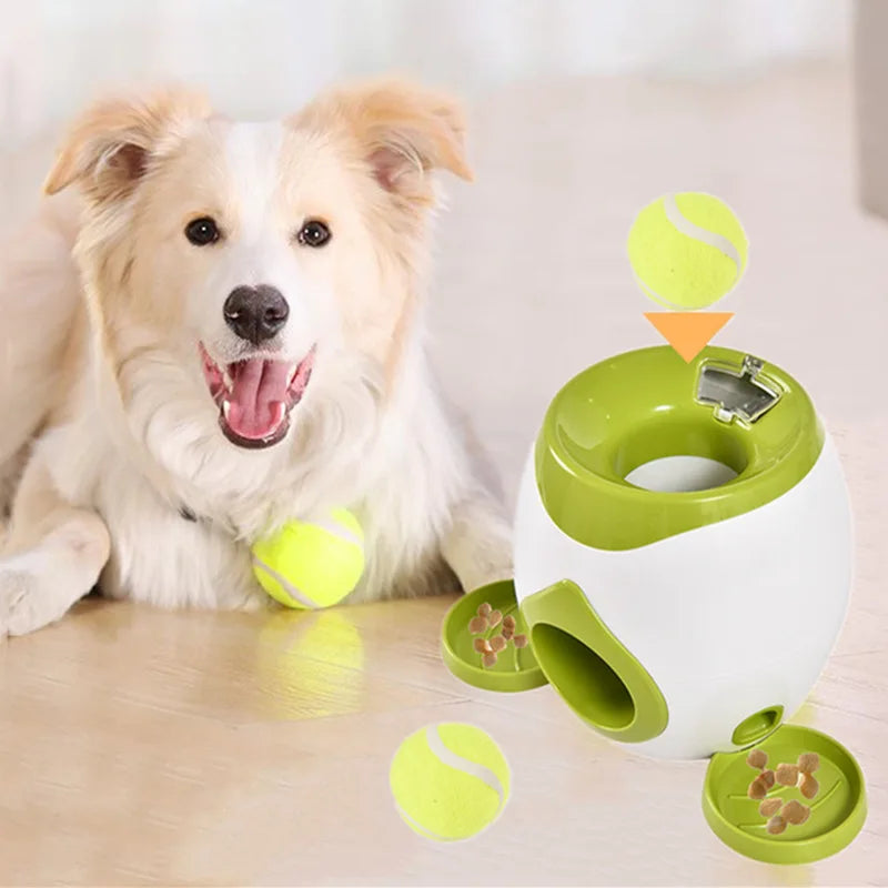 Automatic Dog Ball Launcher