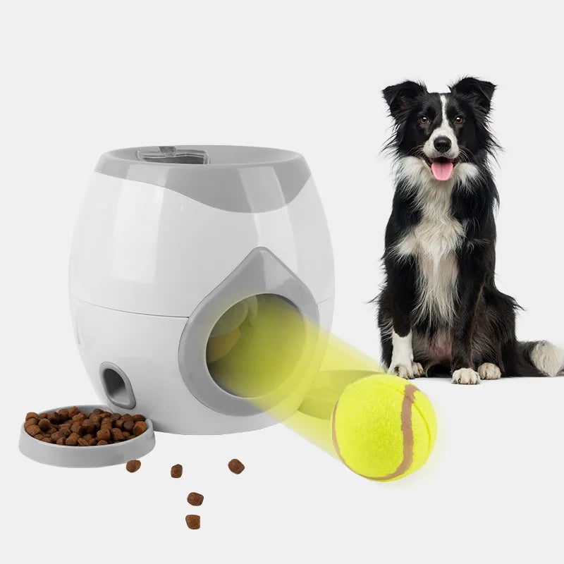 Automatic Dog Ball Launcher