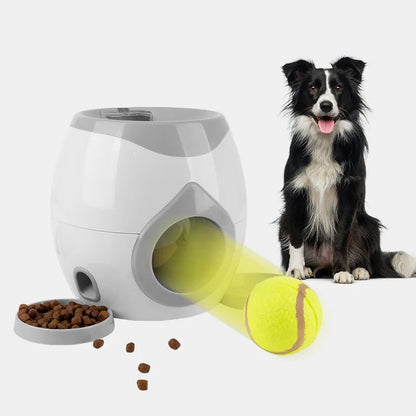 Automatic Dog Ball Launcher
