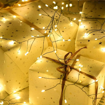 Remote LED String Lights