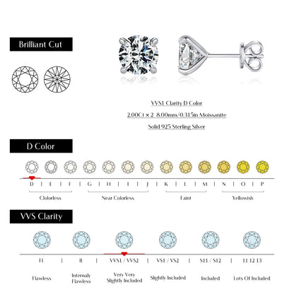 Stud Earrings