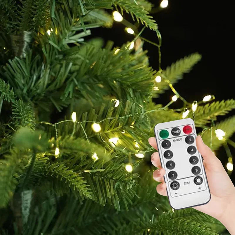 Remote LED String Lights