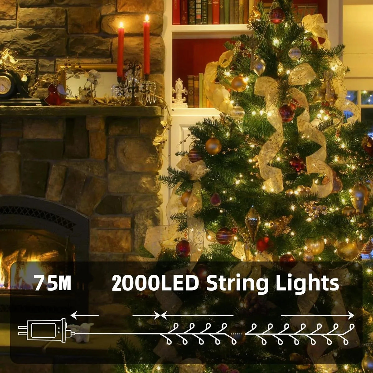 Remote LED String Lights